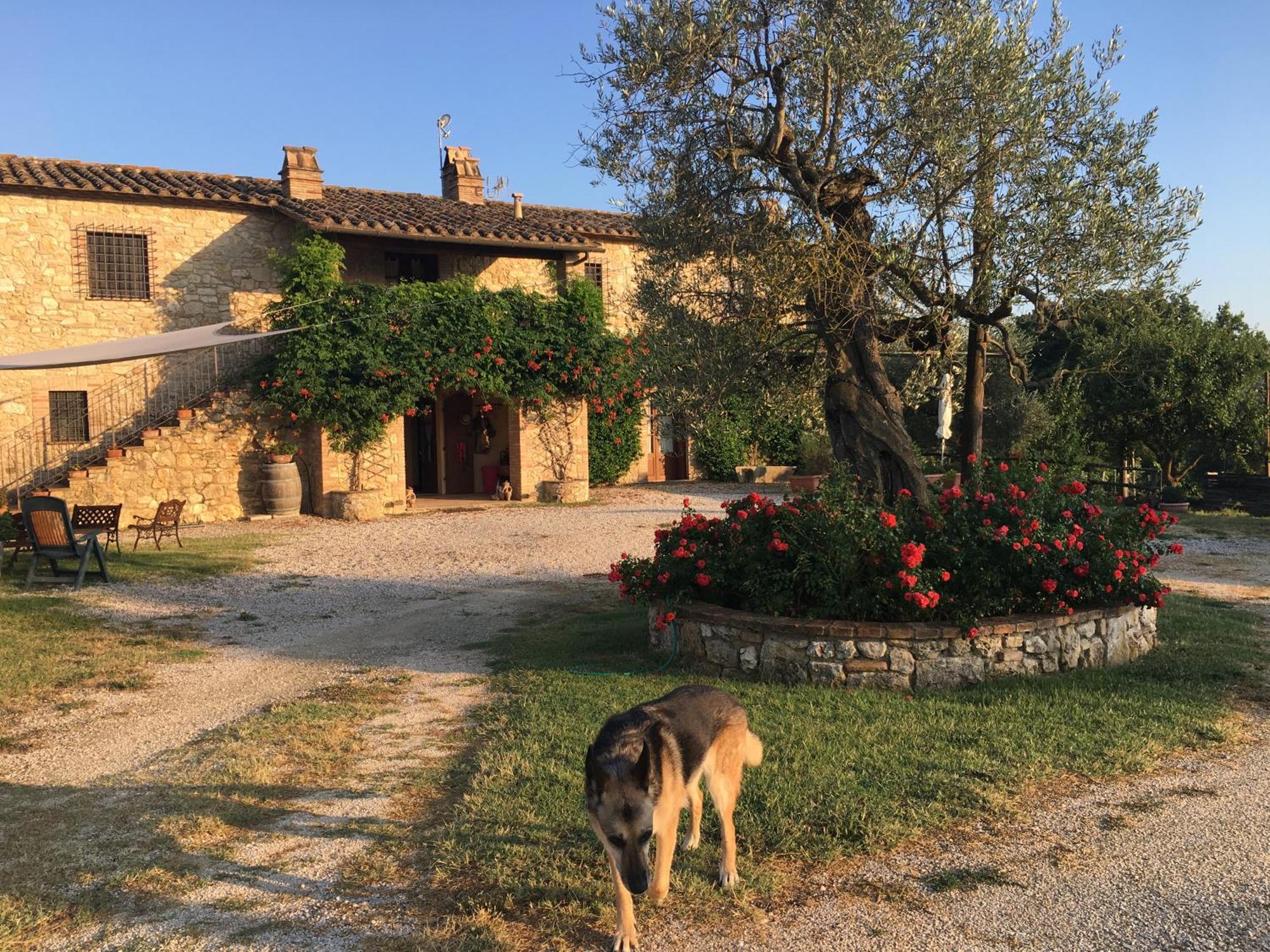 Agriturismo Podere Dell' Olmo Amelia Buitenkant foto
