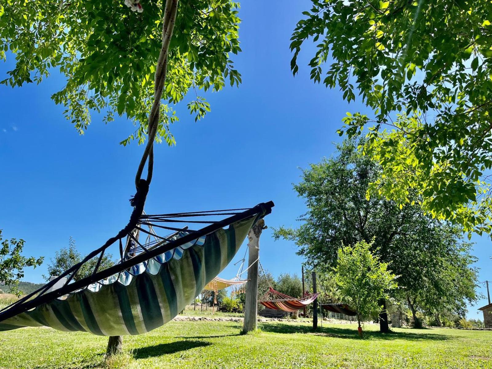 Agriturismo Podere Dell' Olmo Amelia Buitenkant foto