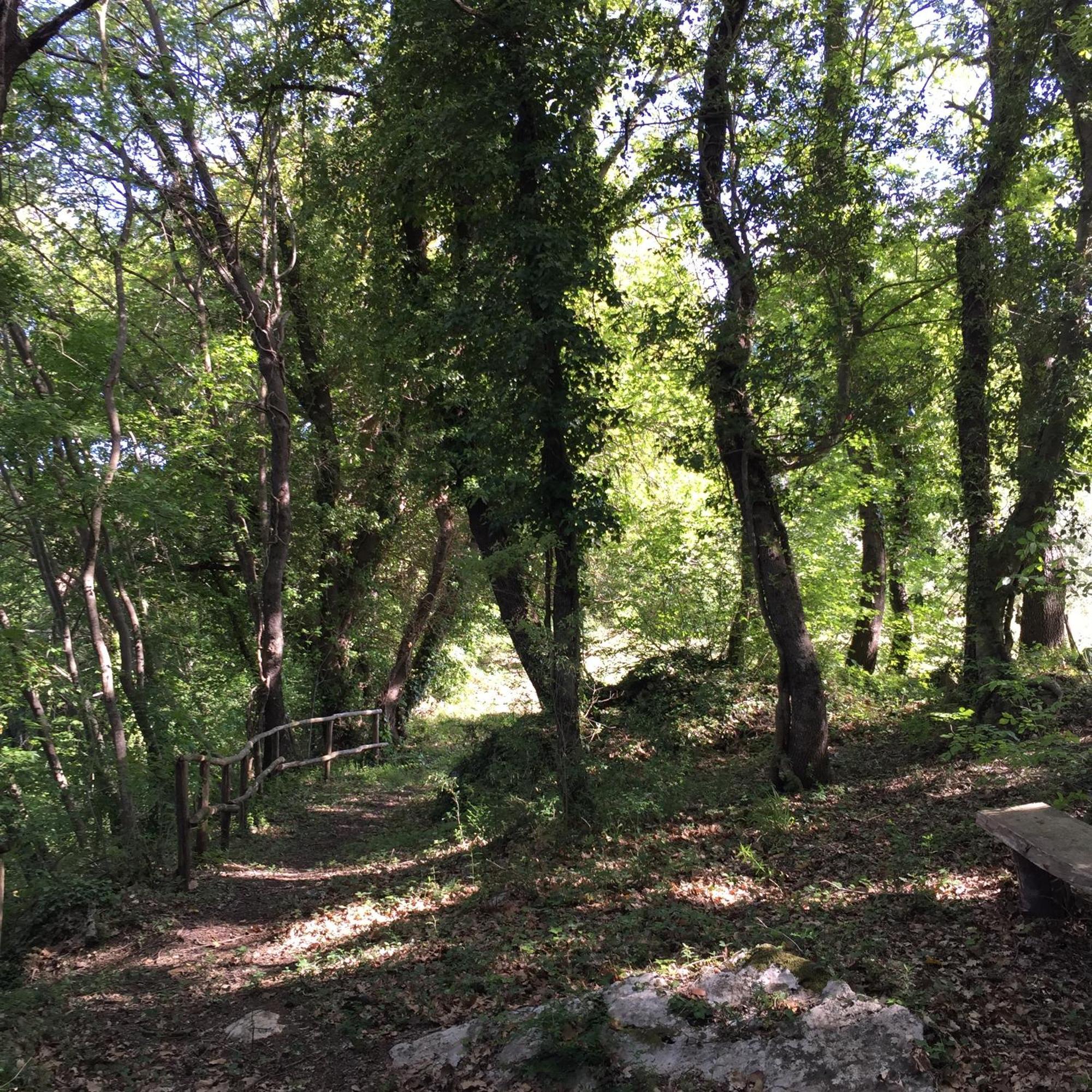 Agriturismo Podere Dell' Olmo Amelia Buitenkant foto