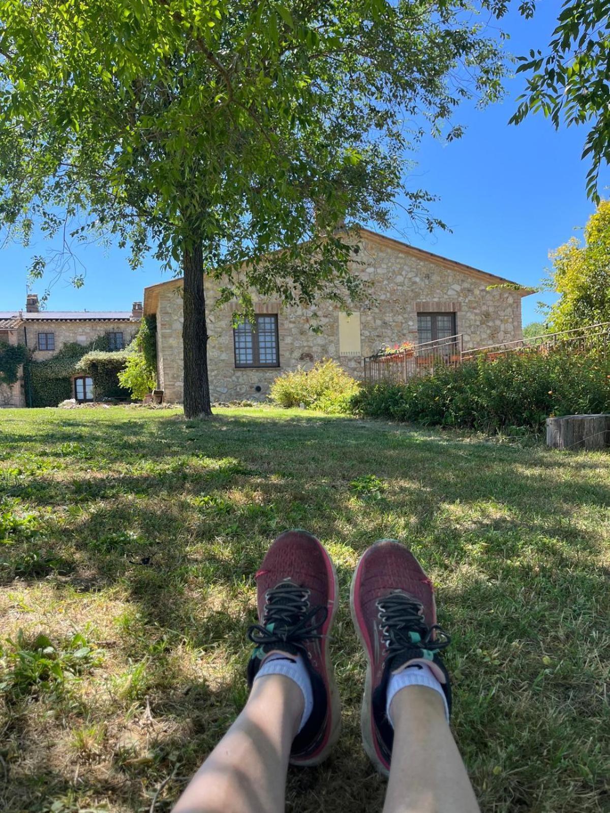 Agriturismo Podere Dell' Olmo Amelia Buitenkant foto