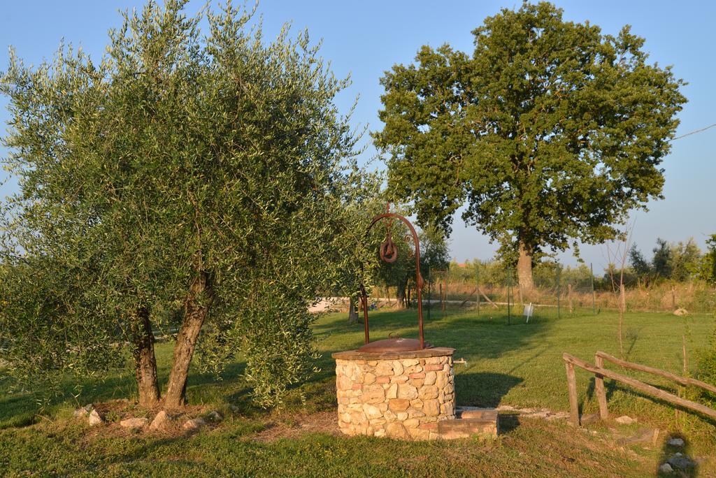 Agriturismo Podere Dell' Olmo Amelia Buitenkant foto