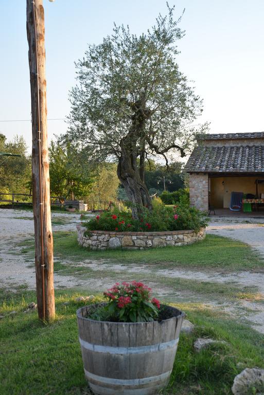 Agriturismo Podere Dell' Olmo Amelia Buitenkant foto