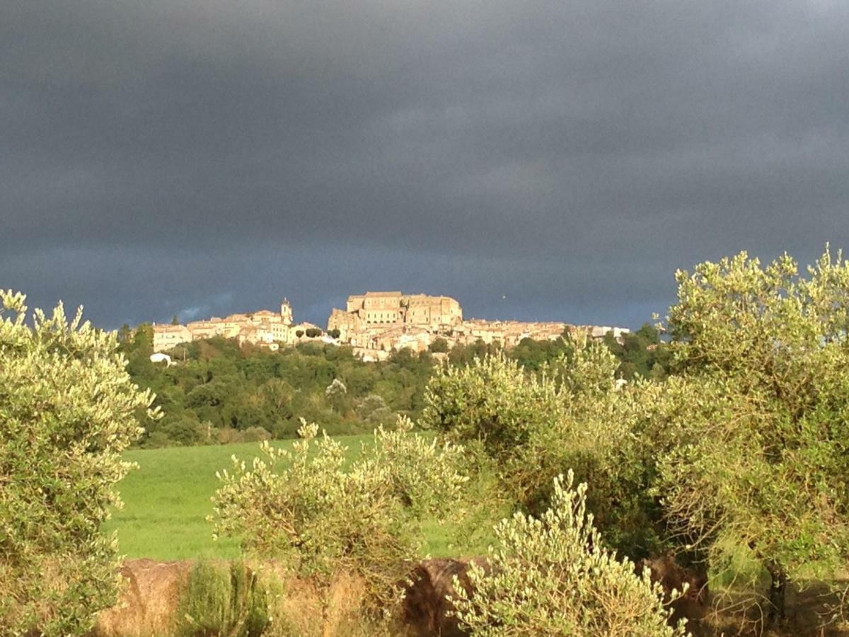 Agriturismo Podere Dell' Olmo Amelia Buitenkant foto